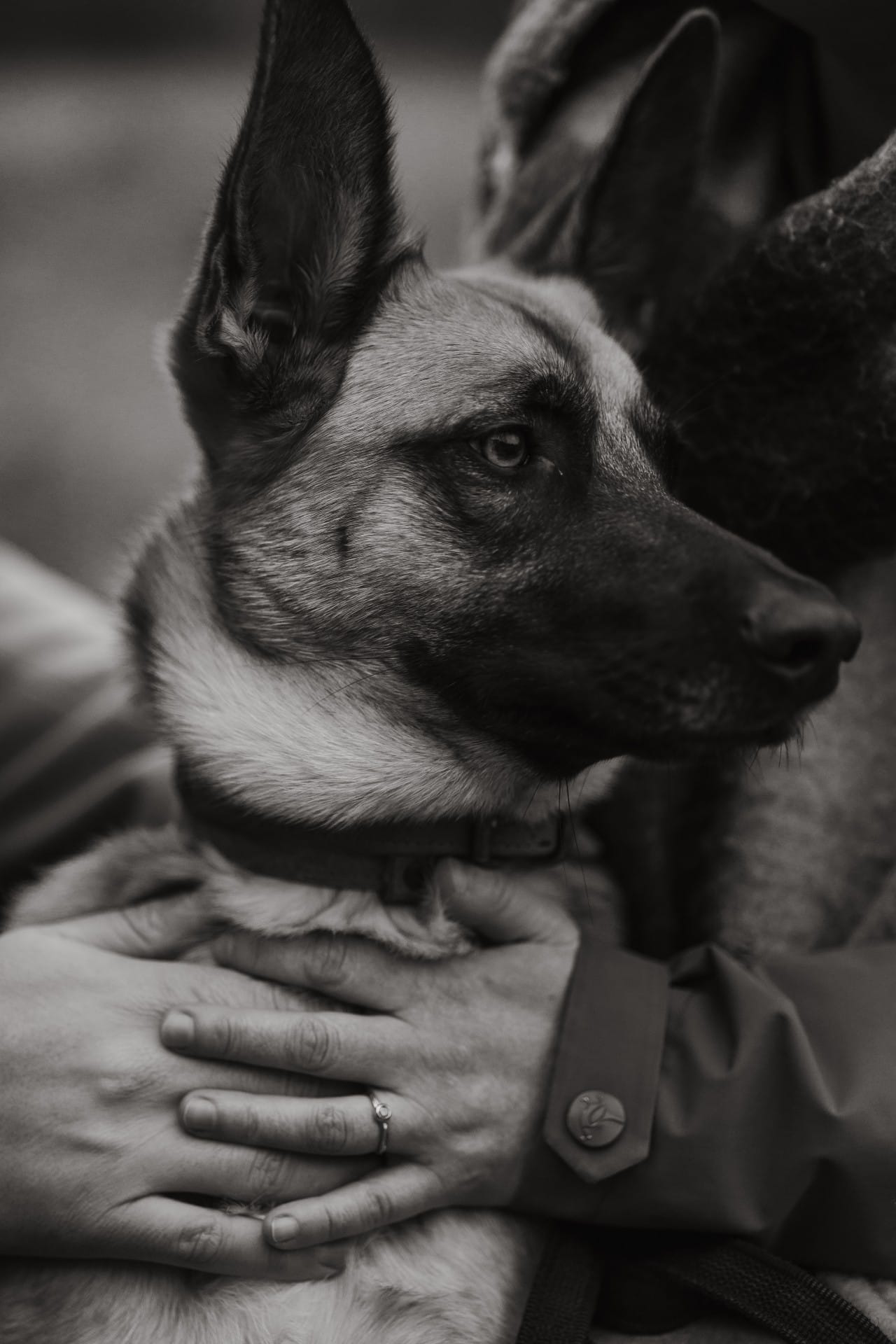 Nala